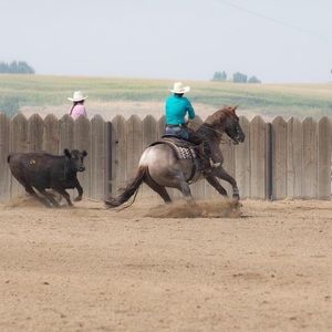 Meet your Posher, Kristy